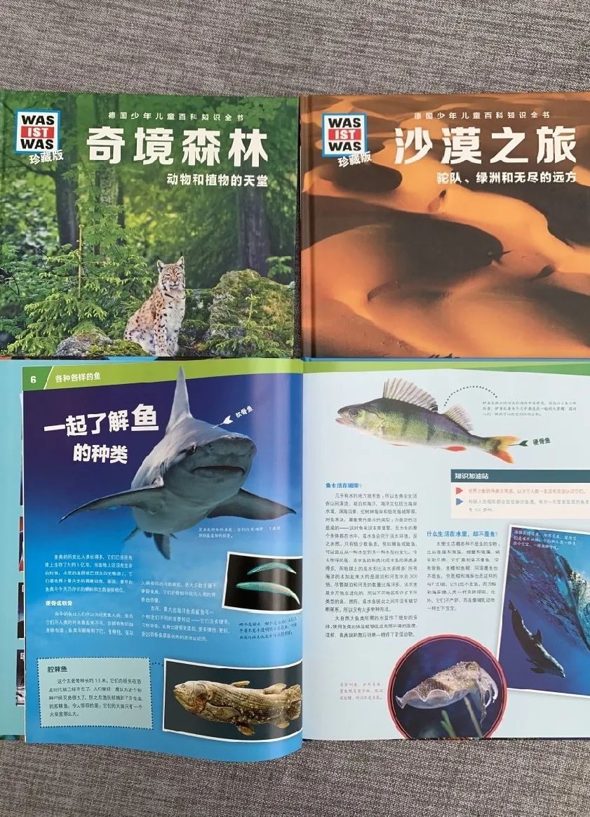 微信图片_20201215104253